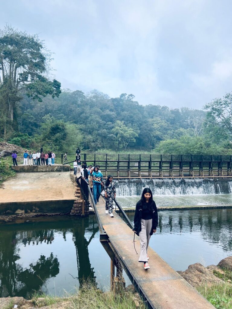 Nature 3
